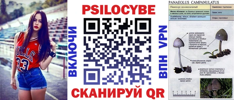 купить наркотики цена  Лабинск  Галлюциногенные грибы прущие грибы 